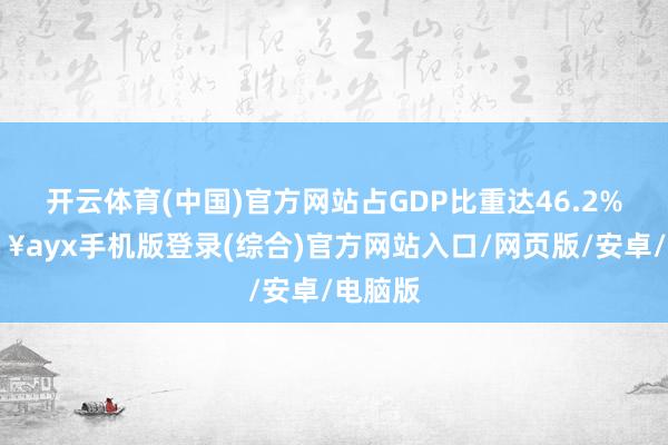 开云体育(中国)官方网站占GDP比重达46.2%-🔥ayx手机版登录(综合)官方网站入口/网页版/安卓/电脑版