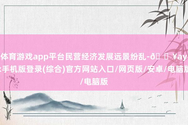 体育游戏app平台民营经济发展远景纷乱-🔥ayx手机版登录(综合)官方网站入口/网页版/安卓/电脑版