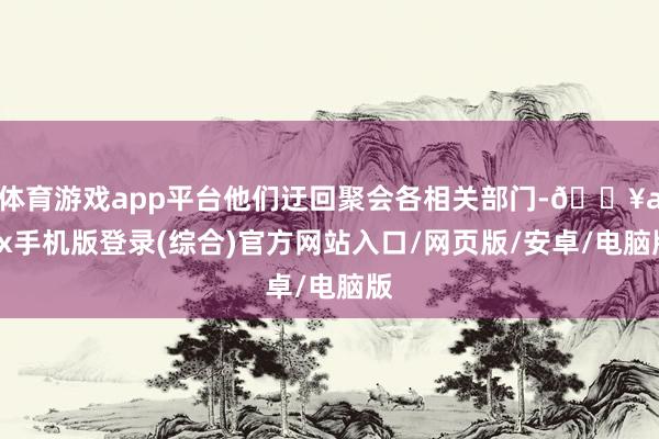 体育游戏app平台他们迂回聚会各相关部门-🔥ayx手机版登录(综合)官方网站入口/网页版/安卓/电脑版