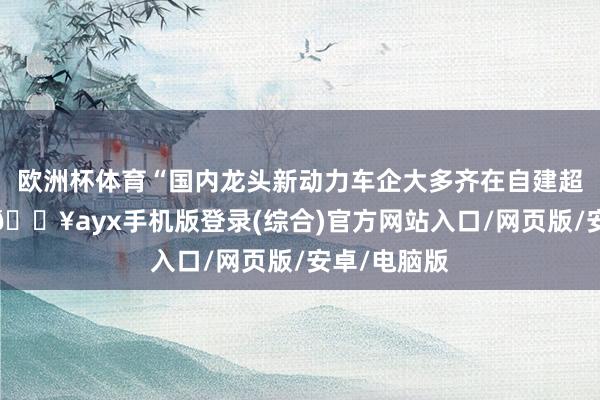 欧洲杯体育“国内龙头新动力车企大多齐在自建超快充电桩-🔥ayx手机版登录(综合)官方网站入口/网页版/安卓/电脑版